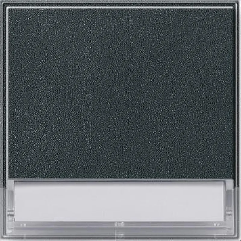 Gira Wippe 067667 BSF gross TX_44 (WG UP) anthrazit