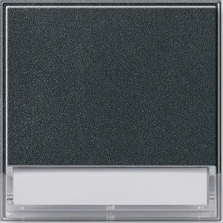Gira Wippe 067667 BSF gross TX_44 (WG UP) anthrazit