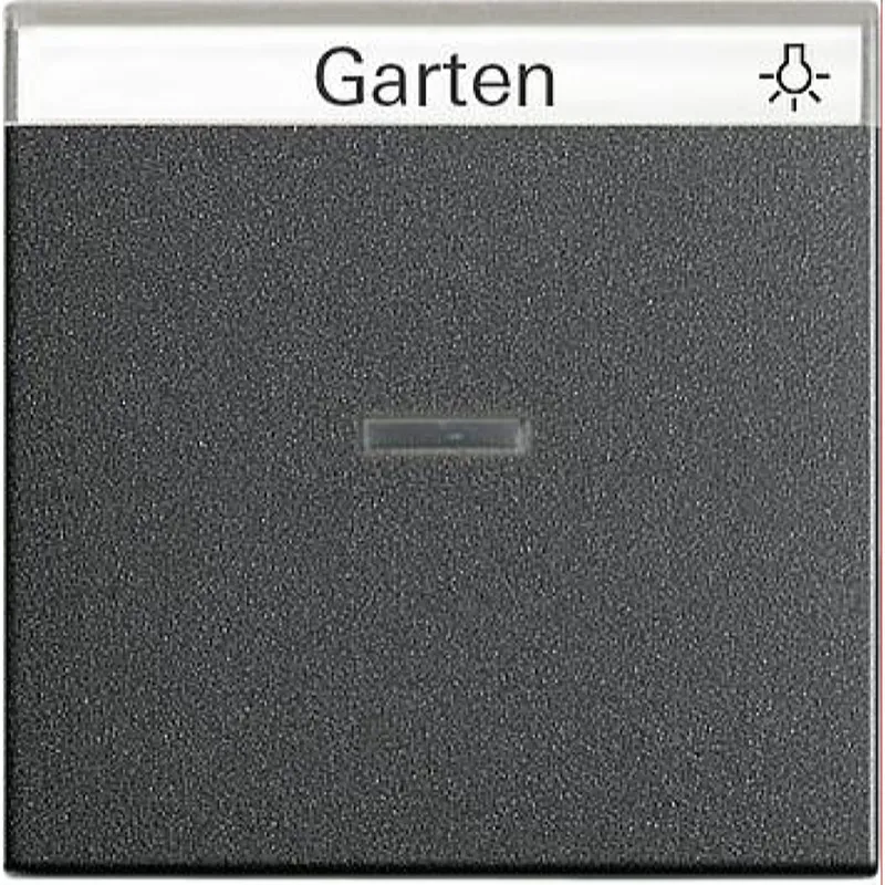 Gira Wippe 067028 Kontroll BSF System 55 anthrazit