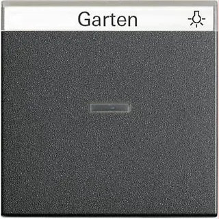 Gira Wippe 067028 Kontroll BSF System 55 anthrazit