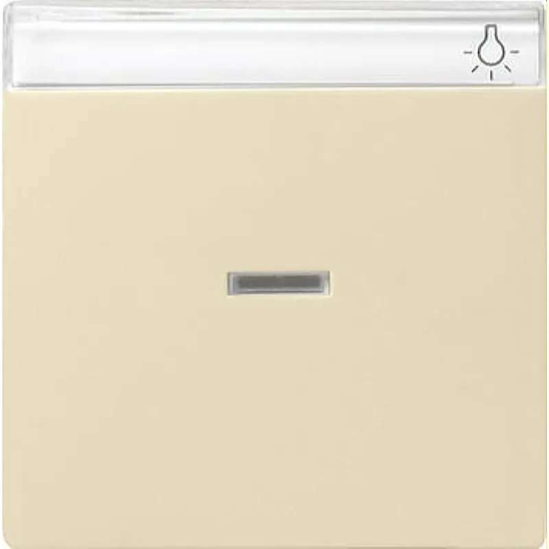 Gira Wippe 067001 Kontroll BSF System 55 cremeweiss