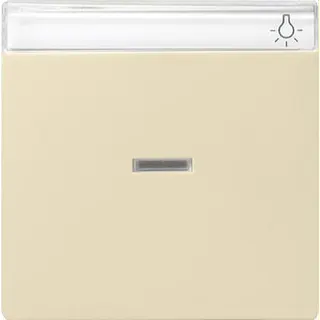 Gira Wippe 067001 Kontroll BSF System 55 cremeweiss