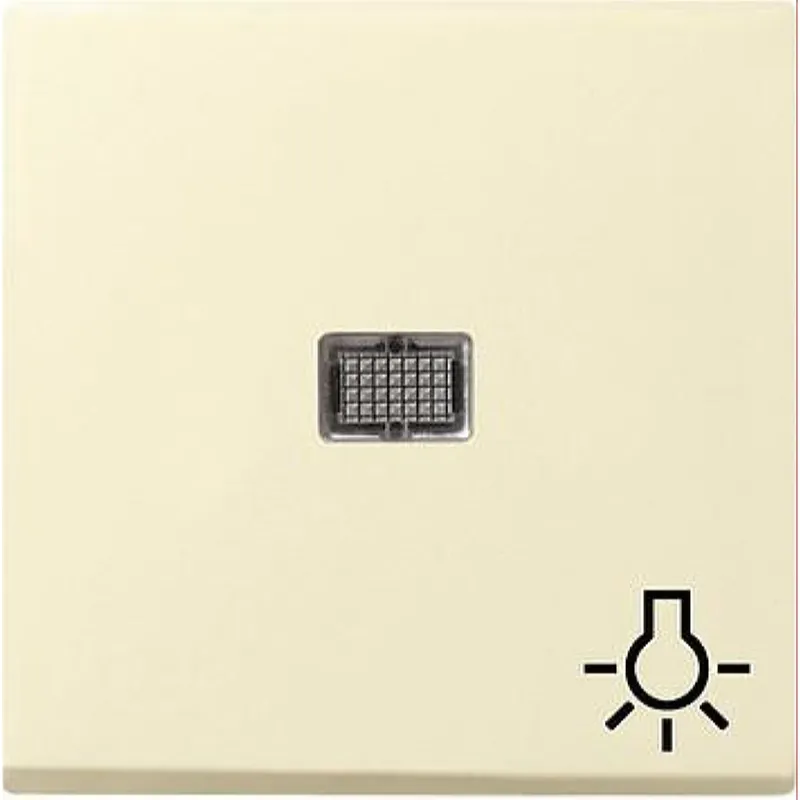 Gira Wippe 063001 Kontr gr Sym Licht System 55 cw