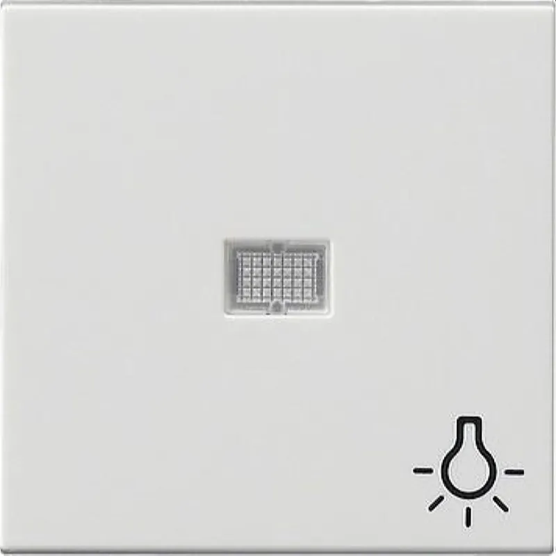 Gira Wippe 063003 Kontr gr Sym Licht System 55 rw