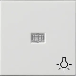Gira Wippe 063003 Kontr gr Sym Licht System 55 rw
