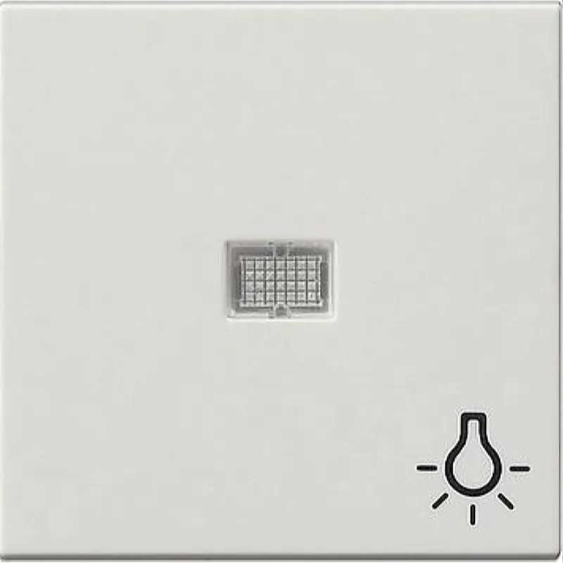 Gira Wippe 063027 Kontr gr Sym Licht System 55 rw m