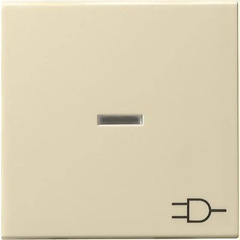Gira Wippe 020901 Kontroll Sym Steckd. System55 cw