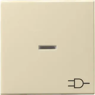 Gira Wippe 020901 Kontroll Sym Steckd. System55 cw