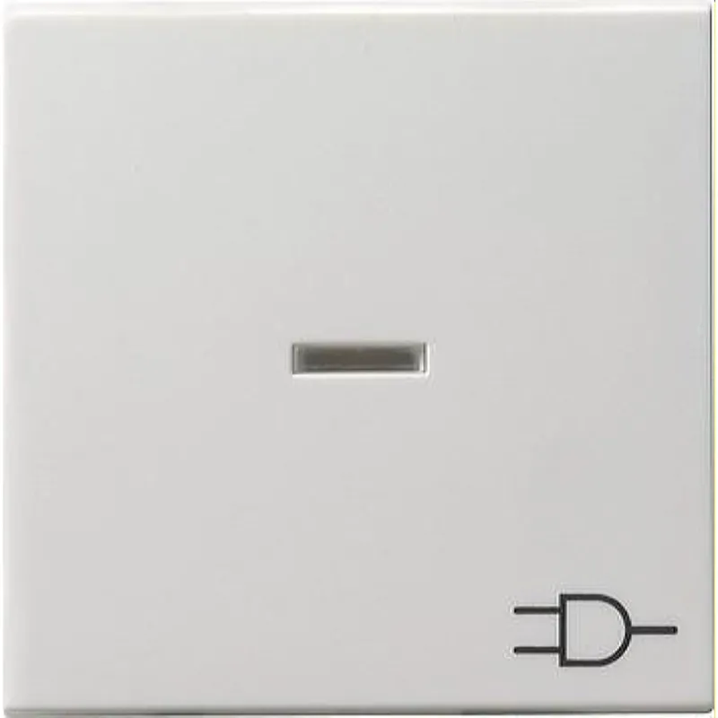 Gira Wippe 020927 Kontroll Sym Steckd. System55 rwm