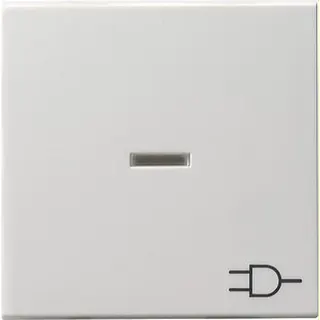 Gira Wippe 020927 Kontroll Sym Steckd. System55 rwm