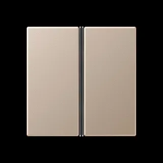 Jung Tastensatz 2fach, F40, Serie A, champagner A402TSACH