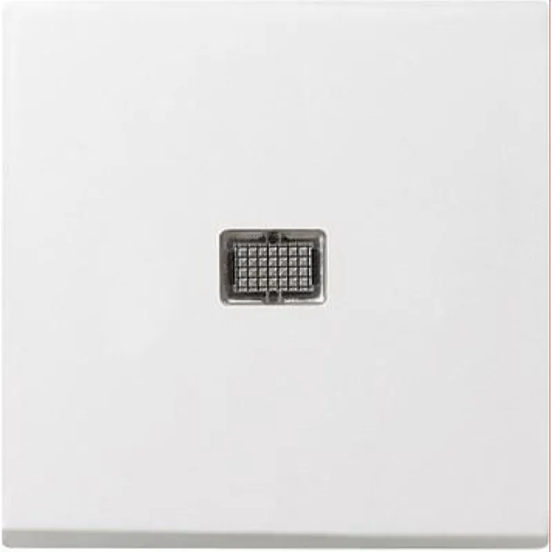 Gira Wippe 029803 Kontrollfenster gross System55 rw