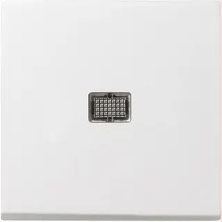 Gira Wippe 029803 Kontrollfenster gross System55 rw