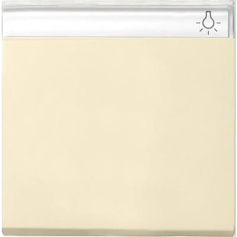 Gira Wippe 029901 BSF System 55 cremeweiss