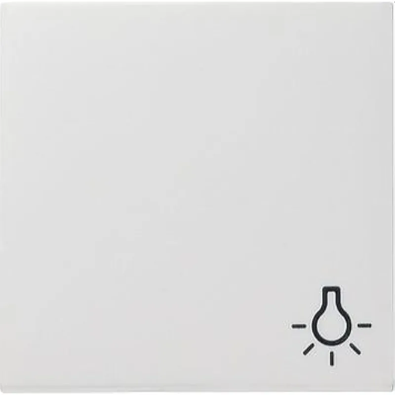 Gira Wippe 028527 Symbol Licht System 55 rw matt