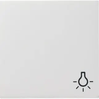 Gira Wippe 028527 Symbol Licht System 55 rw matt