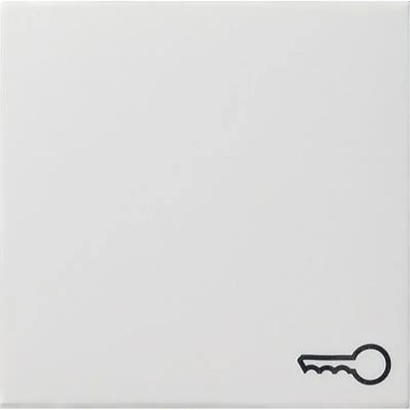 Gira Wippe 028727 Symbol Tuer System 55 rw matt