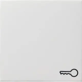 Gira Wippe 028727 Symbol Tuer System 55 rw matt