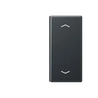 Jung Taste 2fach, mit Pfeilsymbolen, F40, Serie A, anthrazit matt A402TSAPANM