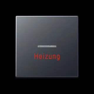 Jung Wippe 1fach mit Lichtleiter, Heizung, Thermoplast lackiert, Serie A, anthrazit matt A590BFHANM