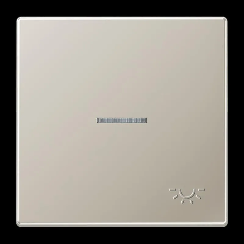 Jung Wippe 1fach mit Lichtleiter, mit abtastbarem Symbol Licht, Serie LS, Edelstahl ES2990KO5LP
