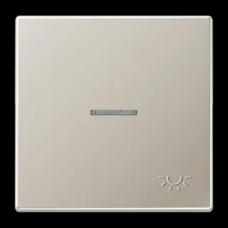 Jung Wippe 1fach mit Lichtleiter, mit abtastbarem Symbol Licht, Serie LS, Edelstahl ES2990KO5LP