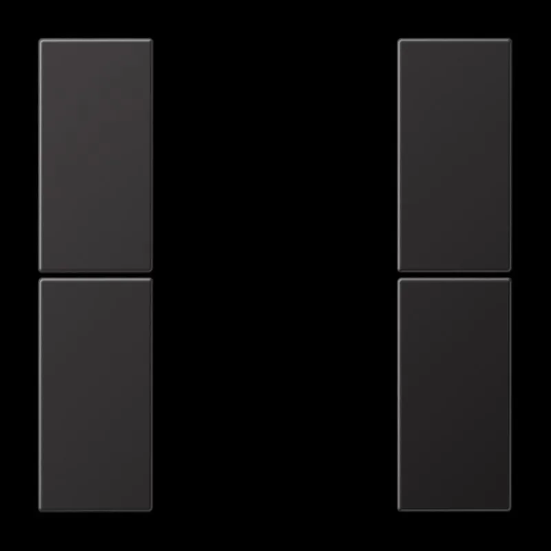 Jung Tastensatz 2fach, F50, Serie LS, dark (lackiertes Aluminium) AL2502TSAD