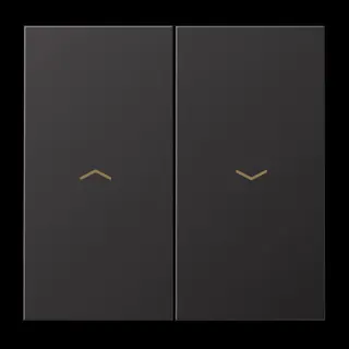Jung Wippe 2fach, mit Pfeilsymbolen, Aluminium lackiert, Serie LS, dark (lackiertes Aluminium) AL2995PD
