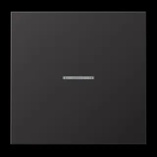Jung Wippe 1fach mit Lichtleiter, Aluminium lackiert, Serie LS, dark (lackiertes Aluminium) AL2990KO5D