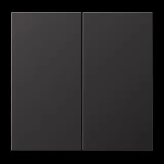 Jung Wippe 2fach, Aluminium lackiert, Serie LS, dark (lackiertes Aluminium) AL2995D