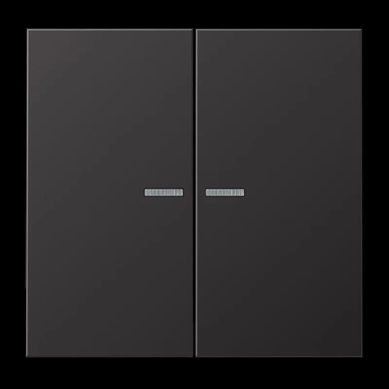 Jung Wippe 2fach mit Lichtleiter, Aluminium lackiert, Serie LS, dark (lackiertes Aluminium) AL2995KO5D