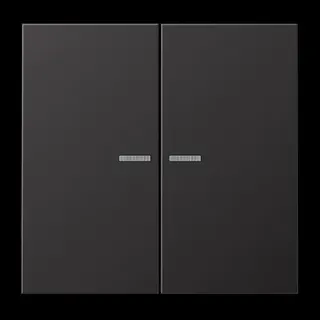 Jung Wippe 2fach mit Lichtleiter, Aluminium lackiert, Serie LS, dark (lackiertes Aluminium) AL2995KO5D