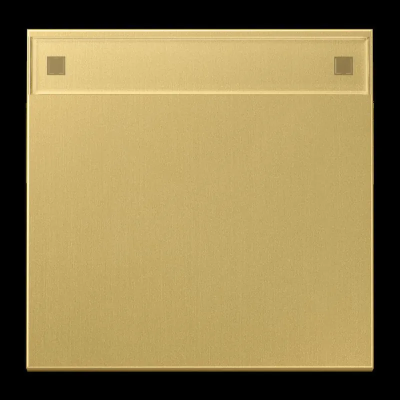 Jung Wippe 1fach, mit Schriftfeld, Messing, Serie LS, Messing classic ME2990NAC
