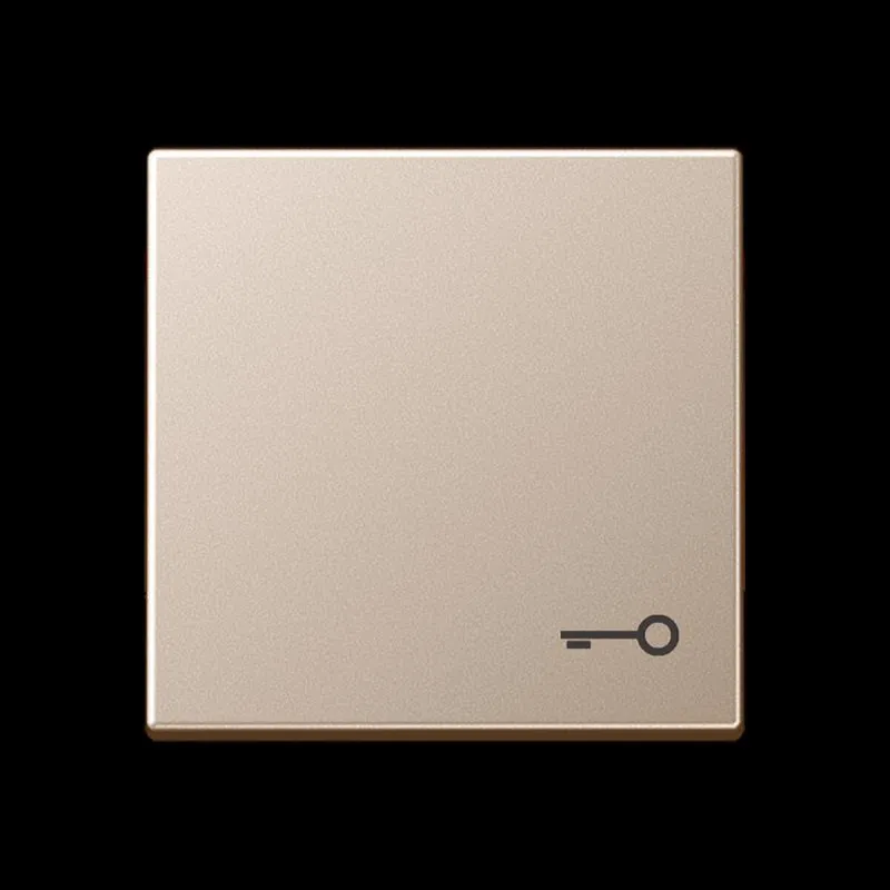 Jung Wippe, Symbol Tür, Serie A, champagner A590TCH