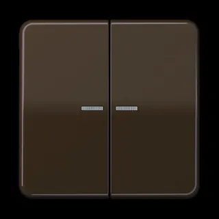 Jung Wippe 2fach mit Lichtleiter, Duroplast, Serie CD, braun CD595KO5BR