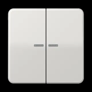 Jung Wippe 2fach mit Lichtleiter, Duroplast, Serie CD, lichtgrau CD595KO5LG