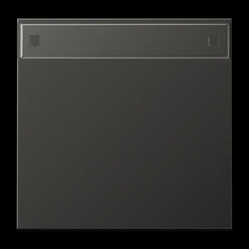 Jung Wippe 1fach, mit Schriftfeld, Aluminium lackiert, Serie LS, anthrazit (lackiertes Aluminium) AL2990NAAN