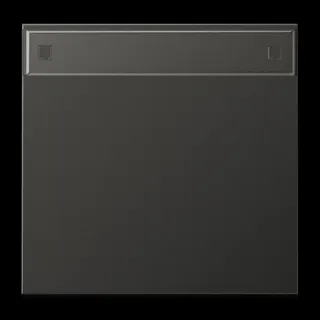 Jung Wippe 1fach, mit Schriftfeld, Aluminium lackiert, Serie LS, anthrazit (lackiertes Aluminium) AL2990NAAN