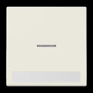 Jung Wippe 1fach mit Lichtleiter, mit Schriftfeld, Duroplast, Serie LS, weiß LS990NAKO5