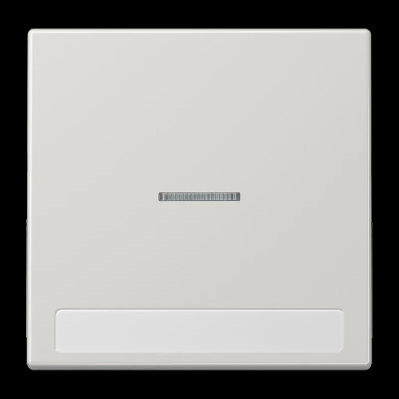 Jung Wippe 1fach mit Lichtleiter, mit Schriftfeld, Duroplast, Serie LS, lichtgrau LS990NAKO5LG