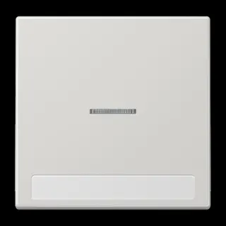 Jung Wippe 1fach mit Lichtleiter, mit Schriftfeld, Duroplast, Serie LS, lichtgrau LS990NAKO5LG