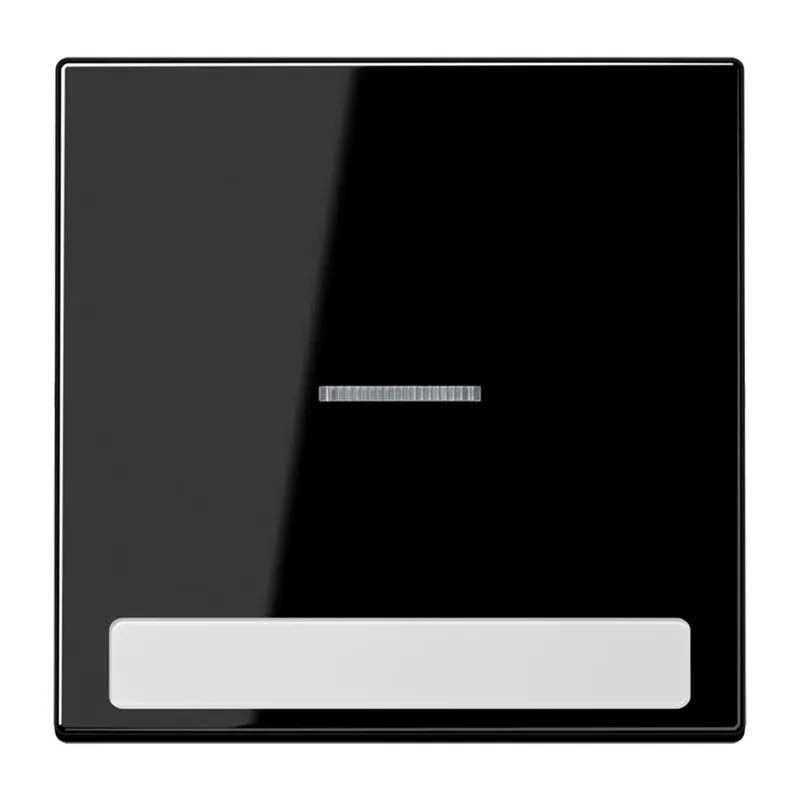 Jung Wippe 1fach mit Lichtleiter, mit Schriftfeld, Duroplast, Serie LS, schwarz LS990NAKO5SW