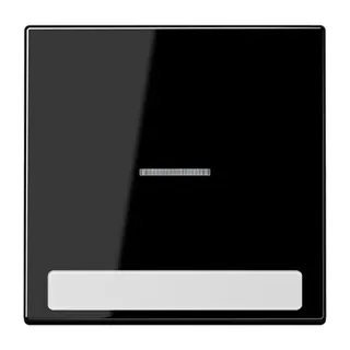 Jung Wippe 1fach mit Lichtleiter, mit Schriftfeld, Duroplast, Serie LS, schwarz LS990NAKO5SW