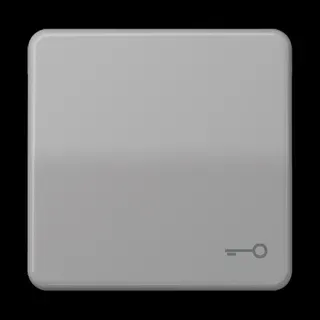Jung Wippe, Symbol Tür, Duroplast, Serie CD, grau CD590TGR