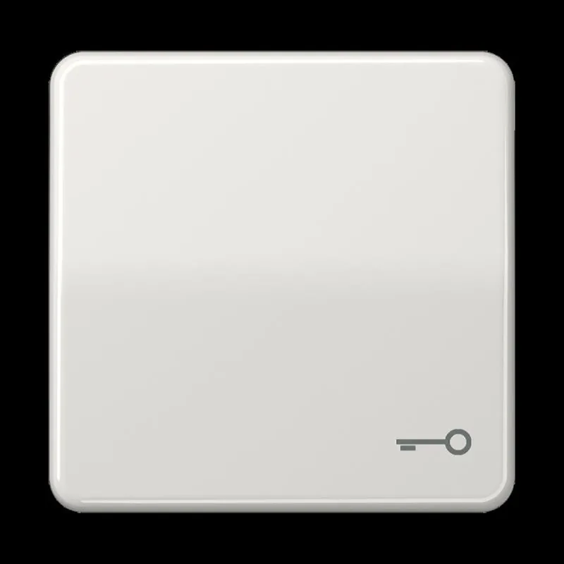 Jung Wippe, Symbol Tür, Duroplast, Serie CD, lichtgrau CD590TLG