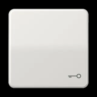 Jung Wippe, Symbol Tür, Duroplast, Serie CD, lichtgrau CD590TLG