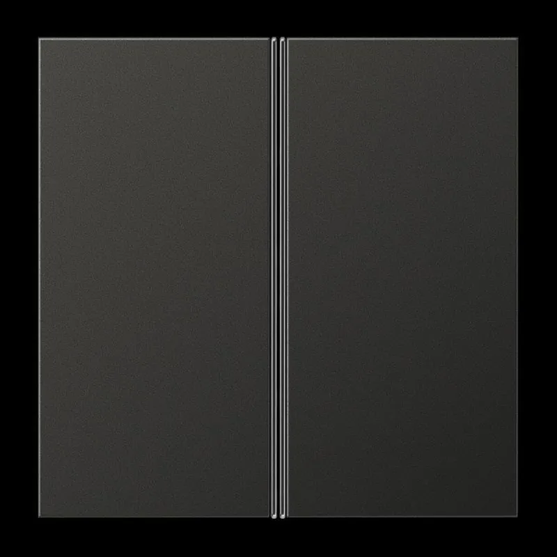 Jung Tastensatz 2fach, F40, Serie LS, anthrazit (lackiertes Aluminium) AL2402TSAAN
