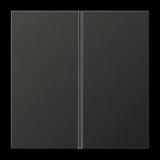 Jung Tastensatz 2fach, F40, Serie LS, anthrazit (lackiertes Aluminium) AL2402TSAAN