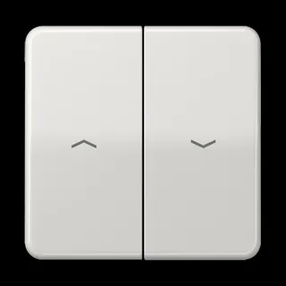 Jung Wippe 2fach, mit Pfeilsymbolen, Thermoplast, Serie CD, lichtgrau CD595PBFLG