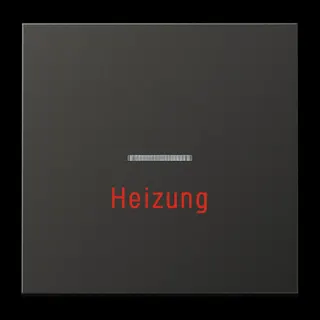 Jung Wippe 1fach mit Lichtleiter, Heizung, Aluminium lackiert, Serie LS, anthrazit (lackiertes Aluminium) AL2990HAN